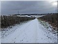 SK6065 : A snowy NCN 6 heading to Clipstone by Steve  Fareham