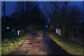 TF4889 : "To the Sea" down Brickyard Lane, Theddlethorpe, on a February evening by Chris