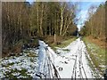 Sherwood Pines Forest Park bike trails junction