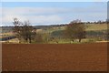 Ploughed field, Inverdunning