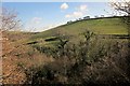 Hillside near Lannear