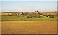 Farmland at Cartole