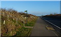 Path along the A47 Clickers Way