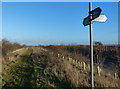 Bridleway to Mill Lane