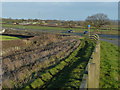 Fence along the A47 Clickers Way