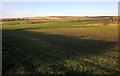 Farmland west of Duloe