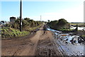 Road at Mahaar Farm