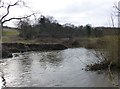 Confluence of Cawledge Burn with River Aln