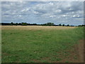 Farmland near Red Hill Farm