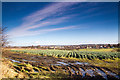 Ormskirk from the west