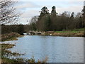 Footbridge, River Wey