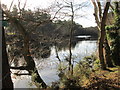 Stockbridge Pond between trees