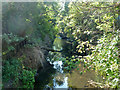 Pool River from Worsley Bridge