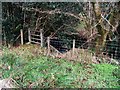 Another missing Carmarthenshire footbridge