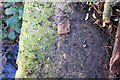 Benchmark on culvert beside A329