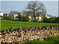 Pasture and houses, Morland