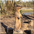 Otter Carving, Higher Penwortham