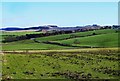 South Ayrshire Farmland View