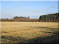 View towards Knives Hill Plantation