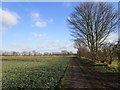 Footpath to Sutton cum Lound