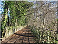 Footpath to Menlove Avenue