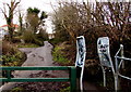 Up towards the village, Penywaun