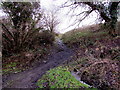 Brook and rough track, Penywaun