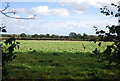 Field near Barford