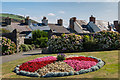 Floral display, Castle Grounds