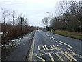 Bus stop on Beverley Road, Leven