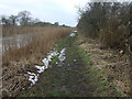 Path beside the Leven Canal 