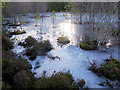 NH6257 : Frozen bog in Bogbuie Wood by Julian Paren