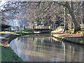 The New River north of High Street, Stanstead St. Margaret