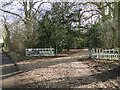 Entrance to The Old Vicarage, Metfield