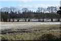 Field beside Burnside Wood