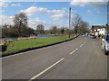 The village pond, Shalford