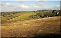 Field by St Martin-by-Looe church