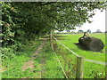 Footpath to Bishop