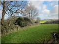 Field boundary near Tredallett