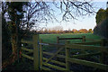 Footpath at Longstanton