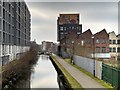 Ashton Canal, South of Carruthers Street