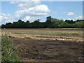 Farmland off Pincet Lane