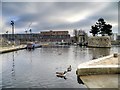 SJ8598 : New Islington Marina, Rochdale Canal by David Dixon