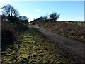 National Cycle Route 1 east of West Cherry Knowle