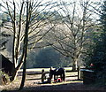 Paddock, High Oakham House Vicinity, Mansfield, Notts.