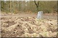 Trig point at Yorkley Slade