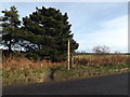 Footpath off the B1122 Leiston Road