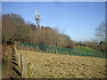 Telecommunications mast, Lodge Hill, Caerleon