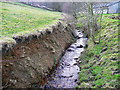 Maple Dean Clough from the footbridge