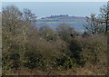 A glimpse of Bradgate Park